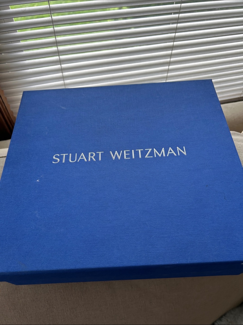 Stuart Weitzman Blue Branded Shoe Box